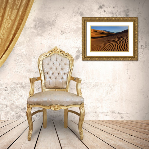 Pebble On A Sand Dune Gold Ornate Wood Framed Art Print with Double Matting by Sherrell, Bill