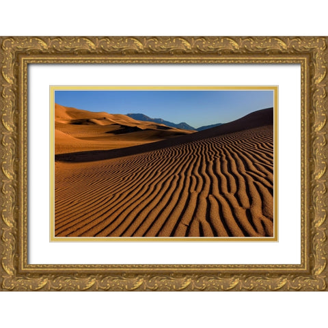 Pebble On A Sand Dune Gold Ornate Wood Framed Art Print with Double Matting by Sherrell, Bill