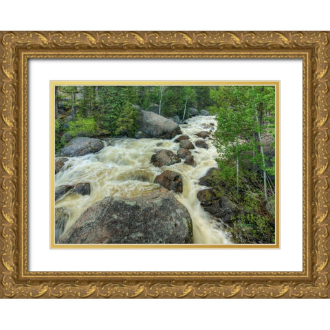 Rapid Change Gold Ornate Wood Framed Art Print with Double Matting by Sherrell, Bill