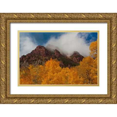 Ruggedness Unveiled Gold Ornate Wood Framed Art Print with Double Matting by Sherrell, Bill