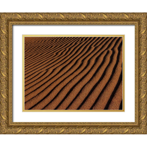 Sand Ripples Gold Ornate Wood Framed Art Print with Double Matting by Sherrell, Bill