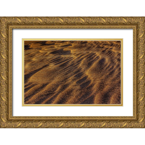 Sandwaves Gold Ornate Wood Framed Art Print with Double Matting by Sherrell, Bill