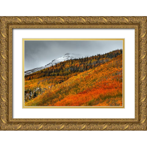Shades Of Autumn Gold Ornate Wood Framed Art Print with Double Matting by Sherrell, Bill