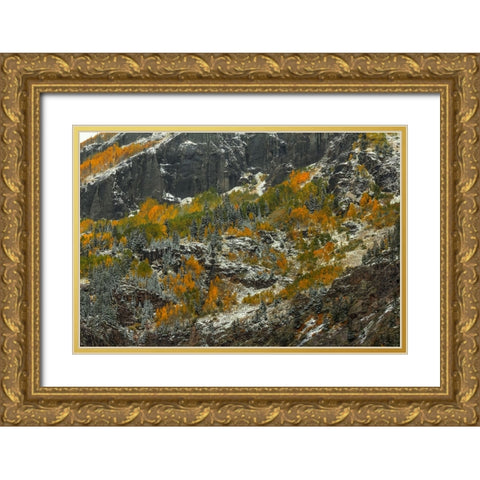 Sheer Cliffs And Dazzling Color Gold Ornate Wood Framed Art Print with Double Matting by Sherrell, Bill