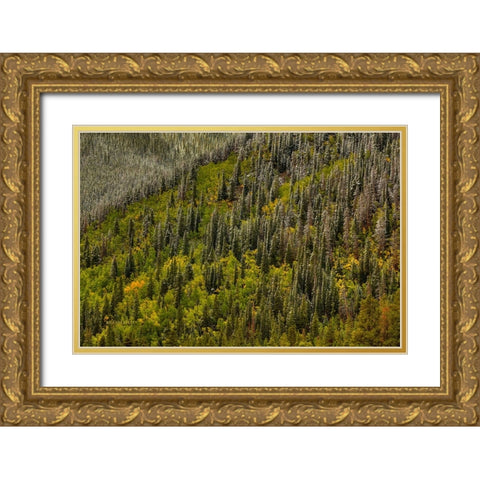 Snowspires Gold Ornate Wood Framed Art Print with Double Matting by Sherrell, Bill
