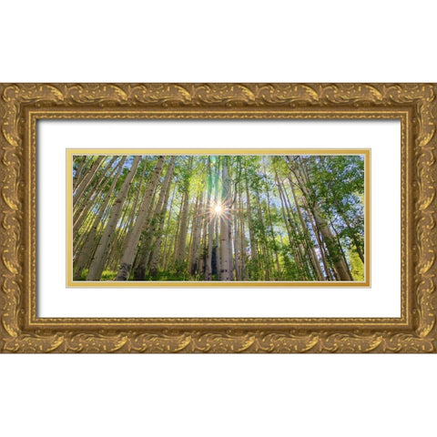 Starshine Gold Ornate Wood Framed Art Print with Double Matting by Sherrell, Bill
