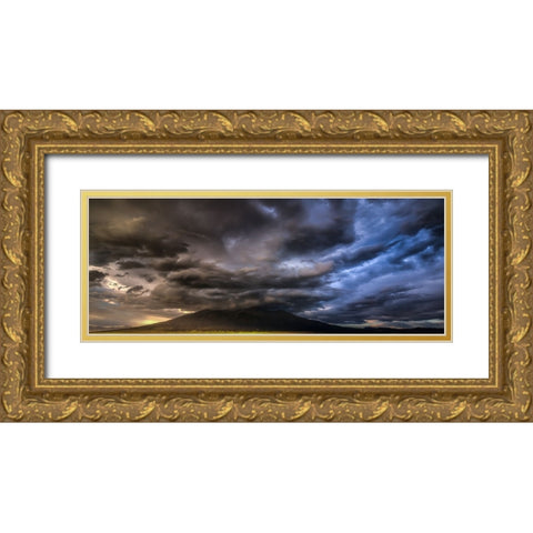 Sudden Storm Gold Ornate Wood Framed Art Print with Double Matting by Sherrell, Bill