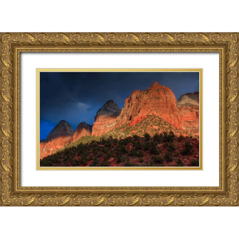 Sunlit Sliver Gold Ornate Wood Framed Art Print with Double Matting by Sherrell, Bill