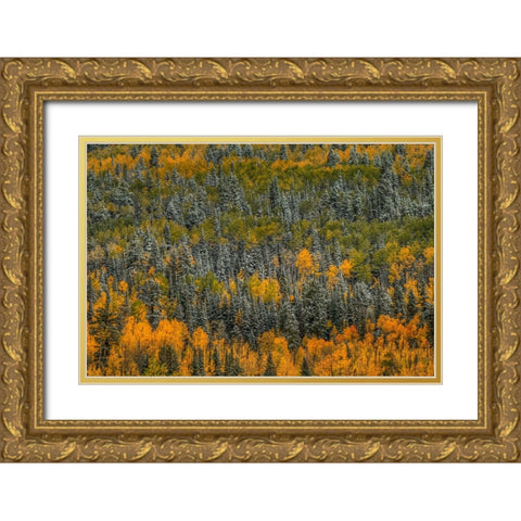 Surrealism Gold Ornate Wood Framed Art Print with Double Matting by Sherrell, Bill