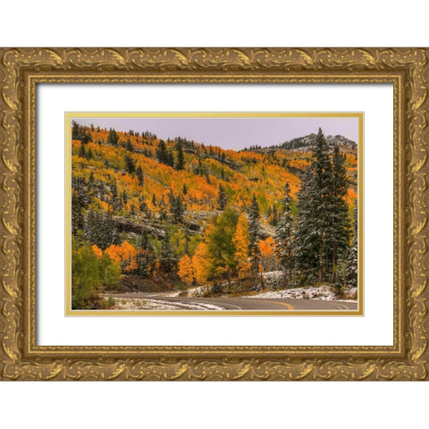Switchback Autumn Gold Ornate Wood Framed Art Print with Double Matting by Sherrell, Bill