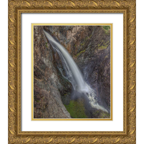 Tall Falls Gold Ornate Wood Framed Art Print with Double Matting by Sherrell, Bill