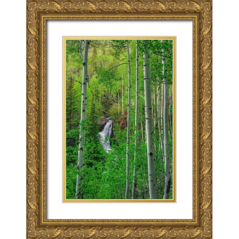 Wilderness Falls Gold Ornate Wood Framed Art Print with Double Matting by Sherrell, Bill