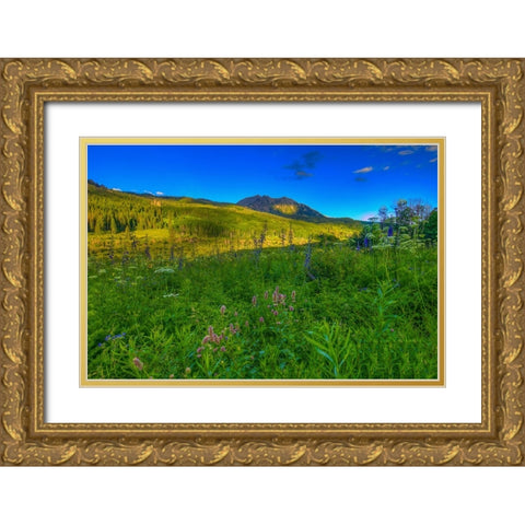 Wildflowers And Windows Of Light Gold Ornate Wood Framed Art Print with Double Matting by Sherrell, Bill