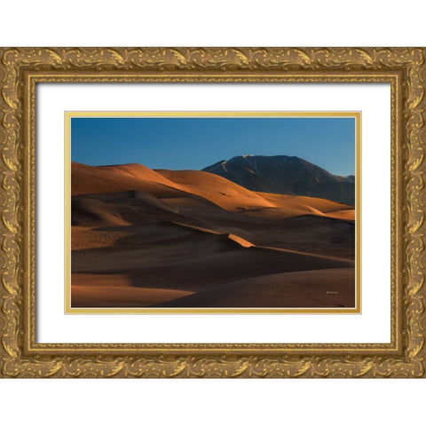 Within The Realm Of Light And Shadow Gold Ornate Wood Framed Art Print with Double Matting by Sherrell, Bill