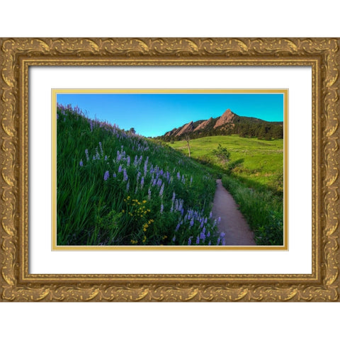 A Walk On The Wild Side Gold Ornate Wood Framed Art Print with Double Matting by Sherrell, Bill