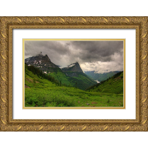 Aprroaching Storm Gold Ornate Wood Framed Art Print with Double Matting by Sherrell, Bill