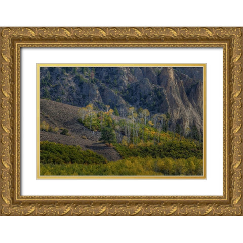 Aspen Sprites Gold Ornate Wood Framed Art Print with Double Matting by Sherrell, Bill