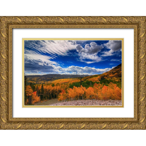 Aspen Wildfire At Ohio Pass Gold Ornate Wood Framed Art Print with Double Matting by Sherrell, Bill