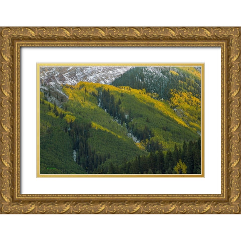 Autumn Angles Gold Ornate Wood Framed Art Print with Double Matting by Sherrell, Bill