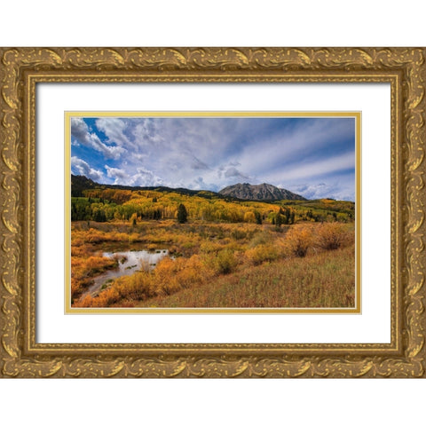 Autumn Blaze Gold Ornate Wood Framed Art Print with Double Matting by Sherrell, Bill
