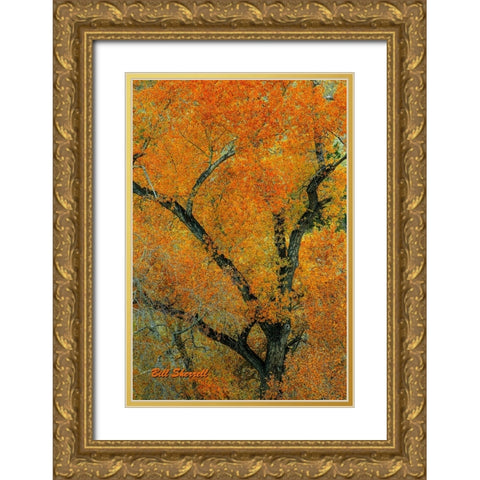 Autumn Contrast Gold Ornate Wood Framed Art Print with Double Matting by Sherrell, Bill