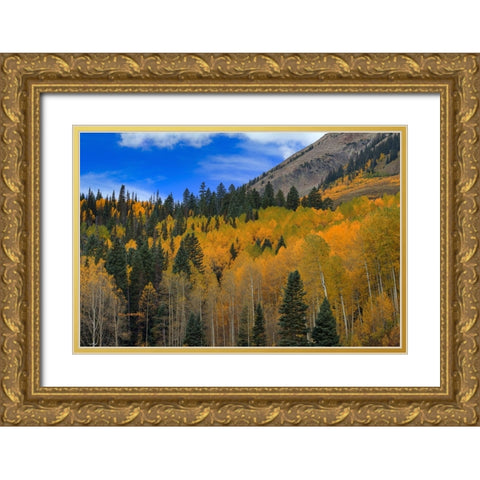 Autumn Dream Gold Ornate Wood Framed Art Print with Double Matting by Sherrell, Bill