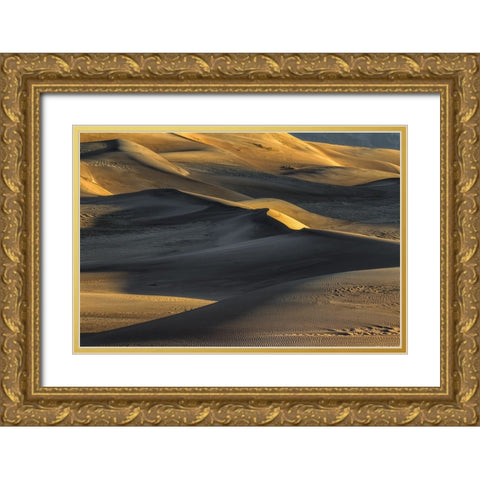 The Great Dunes-Shaped By The Wind Gold Ornate Wood Framed Art Print with Double Matting by Sherrell, Bill