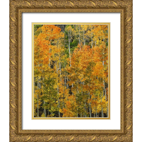 Transcending Illumination Gold Ornate Wood Framed Art Print with Double Matting by Sherrell, Bill
