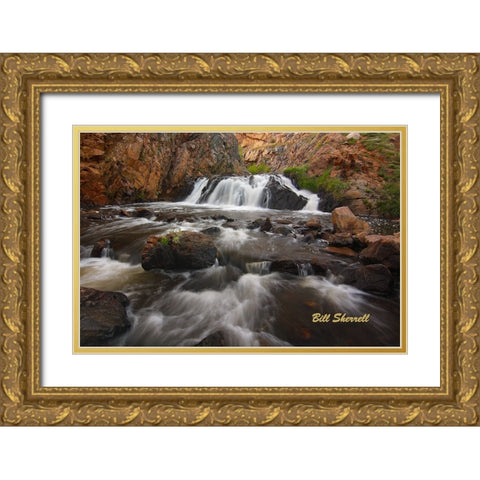 Waterfall Journey Gold Ornate Wood Framed Art Print with Double Matting by Sherrell, Bill