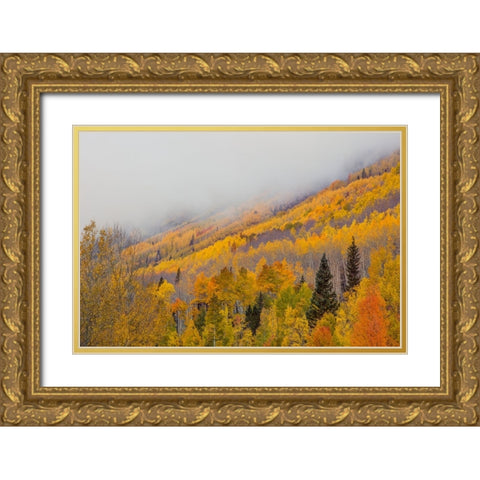 An Autumn Revelation Gold Ornate Wood Framed Art Print with Double Matting by Sherrell, Bill