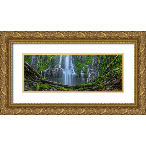 An Encounter With Paradise-Pano Gold Ornate Wood Framed Art Print with Double Matting by Sherrell, Bill