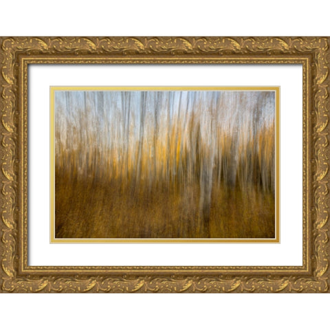 Autumn Forest Dream Gold Ornate Wood Framed Art Print with Double Matting by Sherrell, Bill