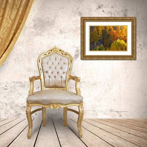 Autumn Highlights Gold Ornate Wood Framed Art Print with Double Matting by Sherrell, Bill