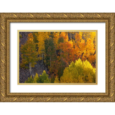 Autumn Highlights Gold Ornate Wood Framed Art Print with Double Matting by Sherrell, Bill