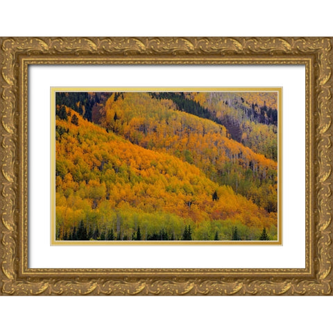Autumn Metamorphosis Gold Ornate Wood Framed Art Print with Double Matting by Sherrell, Bill