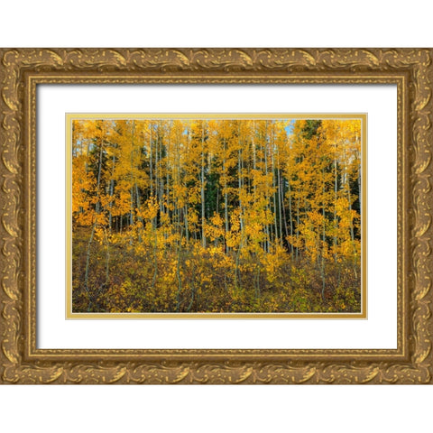 Bursting Into Autumn Gold Ornate Wood Framed Art Print with Double Matting by Sherrell, Bill