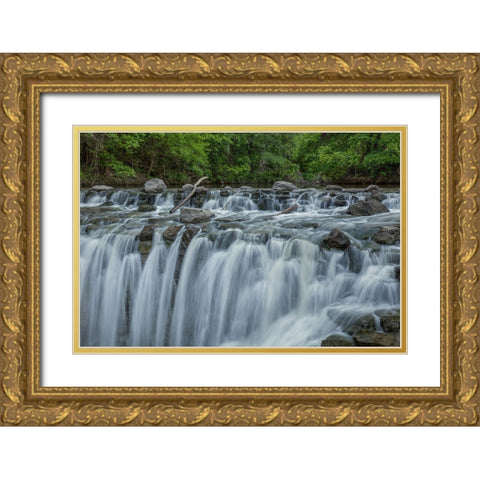 Cascades Gold Ornate Wood Framed Art Print with Double Matting by Sherrell, Bill