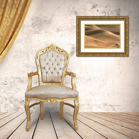 Dunes And Light Gold Ornate Wood Framed Art Print with Double Matting by Sherrell, Bill