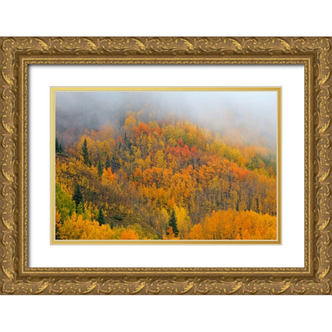 Emergence Gold Ornate Wood Framed Art Print with Double Matting by Sherrell, Bill