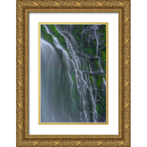 Flowing Grace Gold Ornate Wood Framed Art Print with Double Matting by Sherrell, Bill