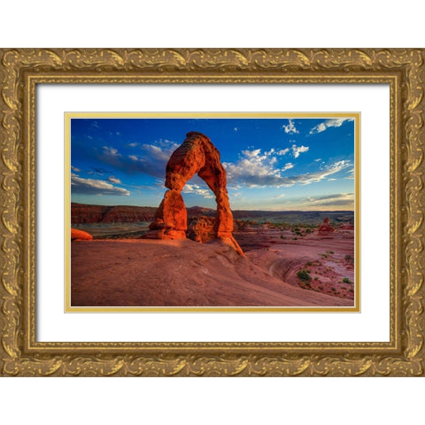 Grace Under Pressure Gold Ornate Wood Framed Art Print with Double Matting by Sherrell, Bill