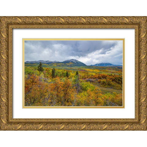 Mountains Of Aspens Gold Ornate Wood Framed Art Print with Double Matting by Sherrell, Bill