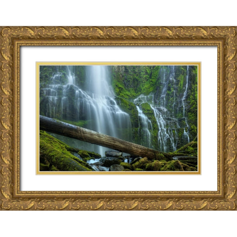 Proxy Falls Gold Ornate Wood Framed Art Print with Double Matting by Sherrell, Bill