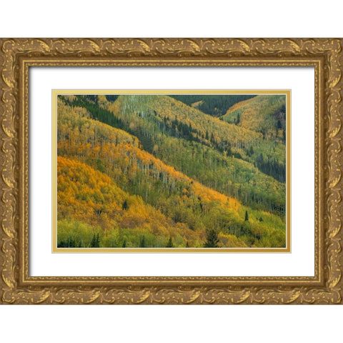 Rows Of Color Gold Ornate Wood Framed Art Print with Double Matting by Sherrell, Bill