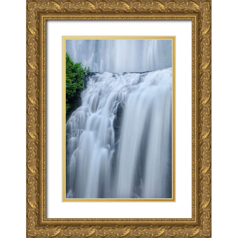 Shower Curtains Gold Ornate Wood Framed Art Print with Double Matting by Sherrell, Bill