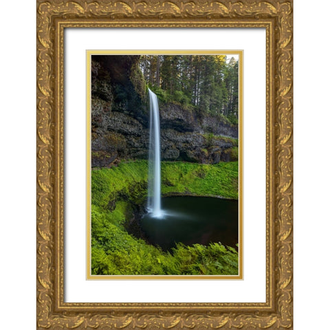 Silver Falls-Oregon 1 Gold Ornate Wood Framed Art Print with Double Matting by Sherrell, Bill