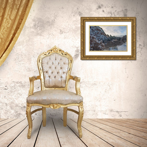 Snowbound Gold Ornate Wood Framed Art Print with Double Matting by Sherrell, Bill