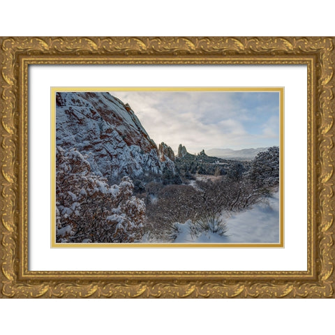 Snowbound Gold Ornate Wood Framed Art Print with Double Matting by Sherrell, Bill