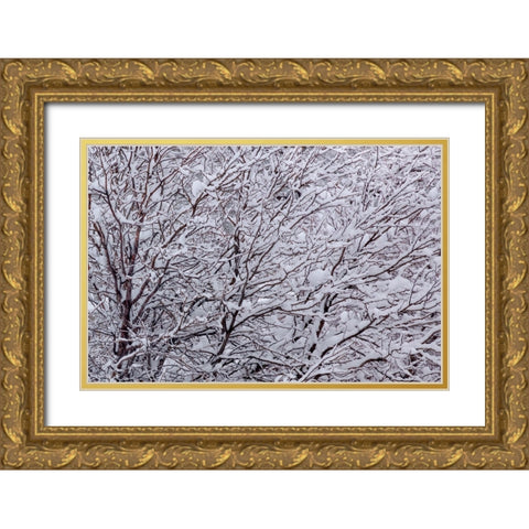 Synergy Gold Ornate Wood Framed Art Print with Double Matting by Sherrell, Bill