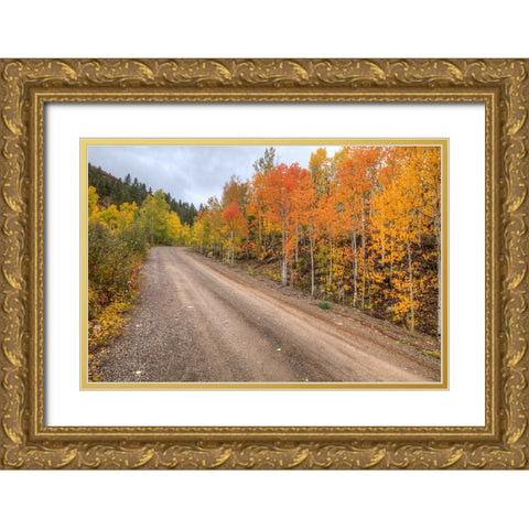 The Road To Color Gold Ornate Wood Framed Art Print with Double Matting by Sherrell, Bill